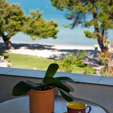 Akti House Psarogiannis & * Vourvourou